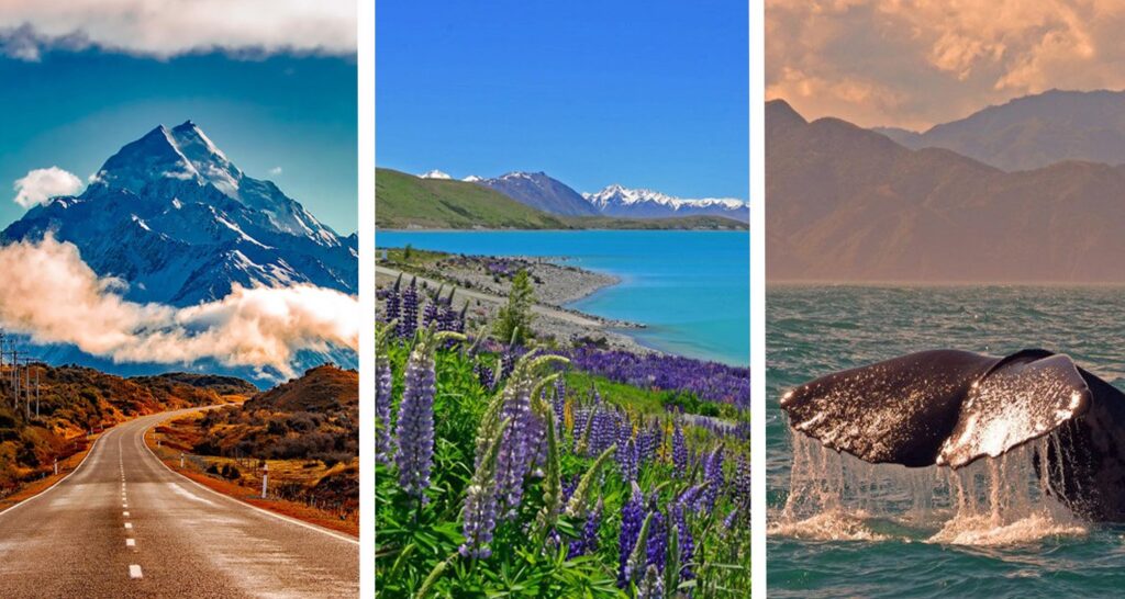 Scenic road through the mountains of New Zealand South Island