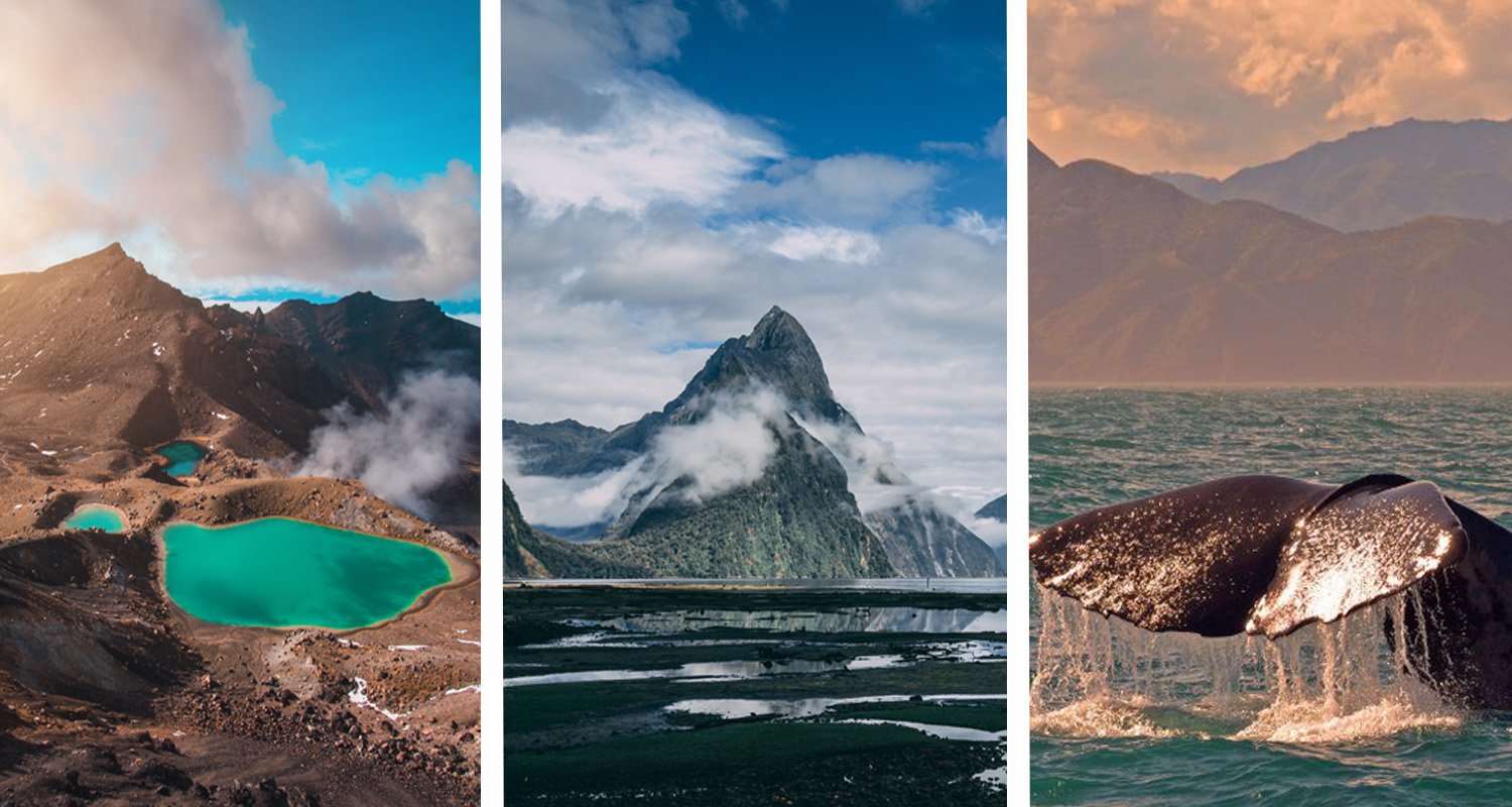 North Island vs South Island: Which Is Better?